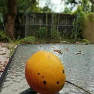 Meet your Posher, Arturo